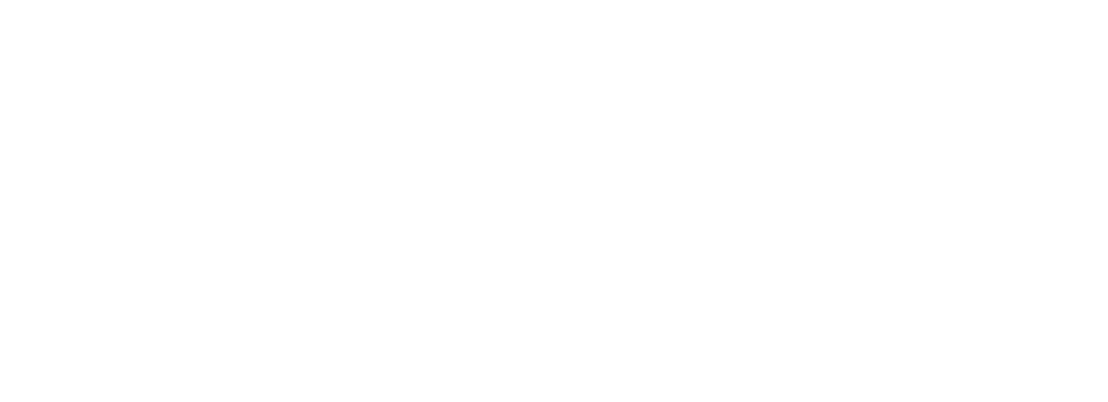 Viscardi Consulting